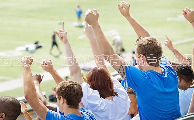 非凡电子游戏平台携程音符跃动：运动赛事背后的声音世界