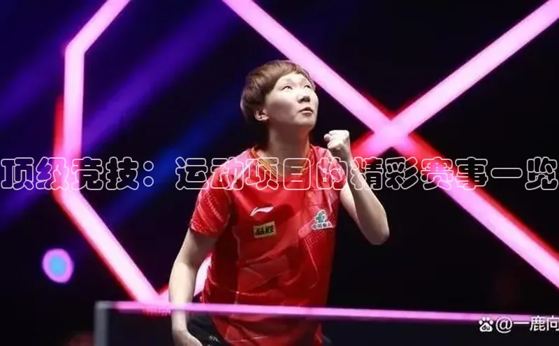 顶级竞技：运动项目的精彩赛事一览