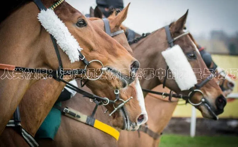 人类极限：深度顶级体育赛事中的力量与技巧