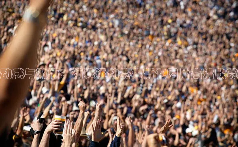 2121非凡足球网页版