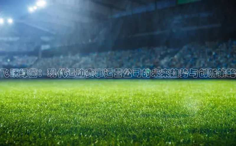 飞跃绿茵：现代运动赛事运营公司的未来趋势与创新策略