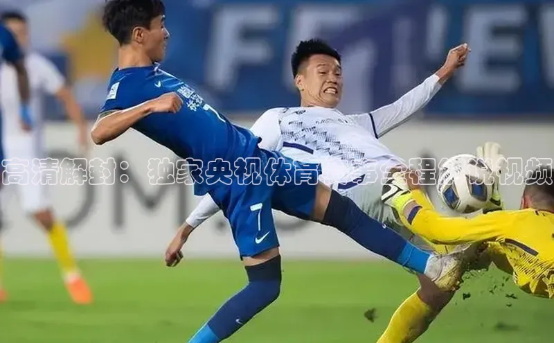 高清解封：独家央视体育赛事全程解说视频