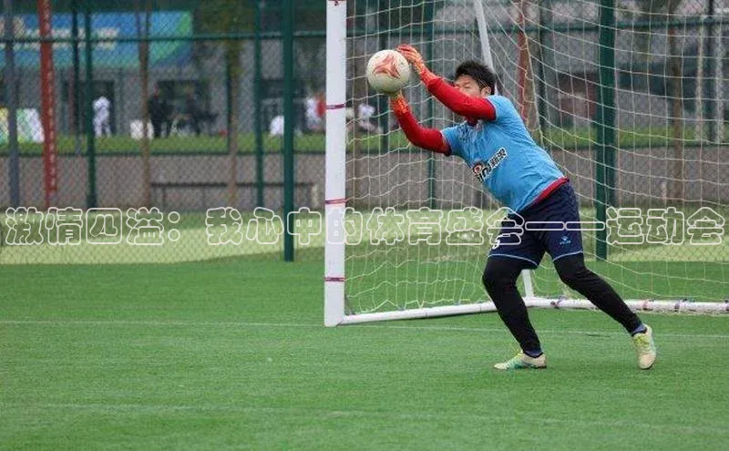 激情四溢：我心中的体育盛会——运动会