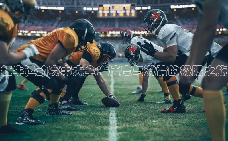 非凡体育2121app官网版