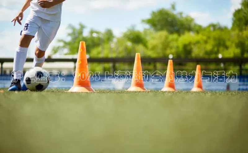 非凡体育2121app官网版