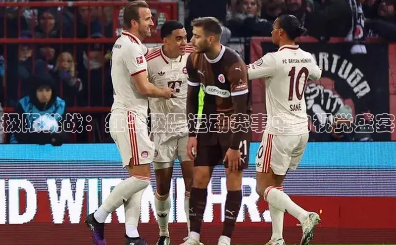 非凡体育平台登录入口