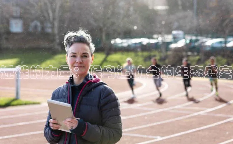 迁徙的力量：候鸟运动会的生态盛宴
