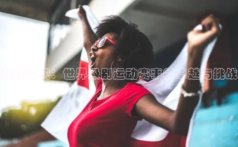 巅峰对决：世界级别运动赛事的卓越与挑战