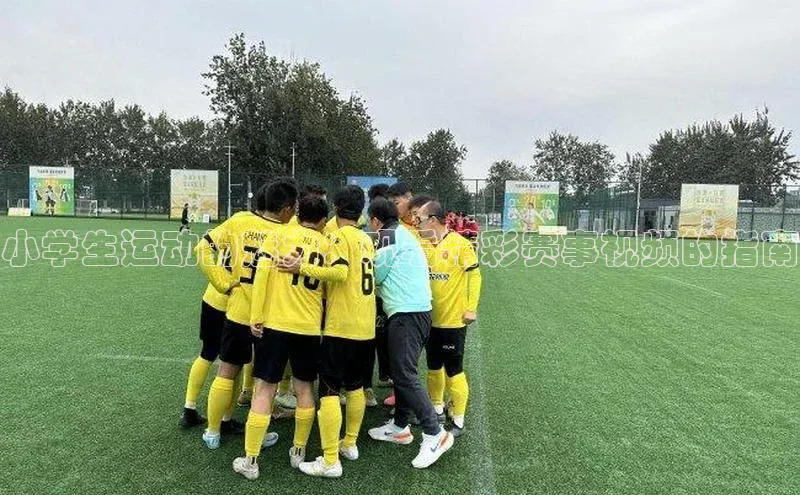 小学生运动的魅力：观看精彩赛事视频的指南
